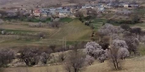 Ulacli Halı ve Koltuk Yıkama