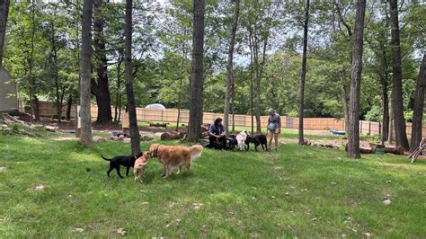 Ulster County Canines unveils new dog park