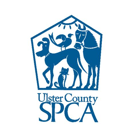 Ulster county spca. Things To Know About Ulster county spca. 