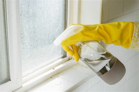 Ultimate Guide on How to Stop Dust Coming Through Windows Family Home