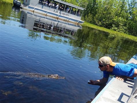 Ultimate swamp adventures. Ultimate Swamp Adventure Photos. Just a taste of some spectacular views around the swamps and bayou. Come see why we are the top rated tour company in New Orleans, LA. 