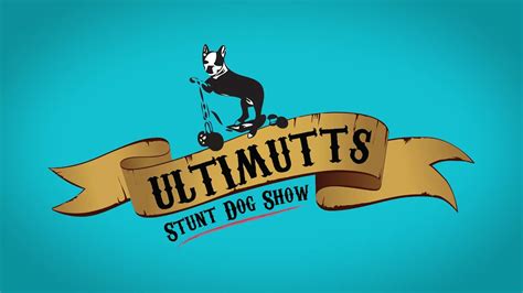 Ultimutts - Ultimutts Stunt Dog Show Fredericton Exhibition September 5 2022Shot on DJI Pocket 2. 4k 30fps. D-Cinelog. Color adjusted