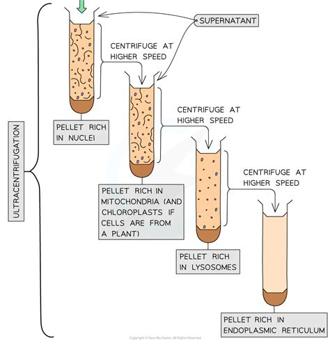 Ultracentrifugation Of Macromolecules