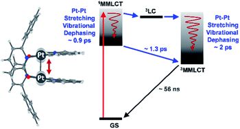 Ultrafast branching in intersystem crossing dynamics revealed by ...