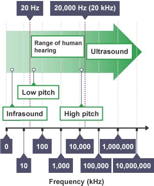 Ultrasound - Sound and ultrasound - Higher - BBC Bitesize