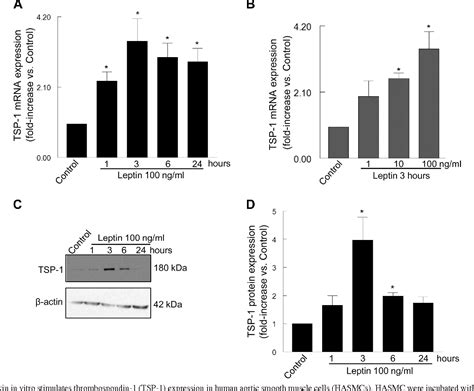 Ultraviolet Radiation Attenuates Thrombospondin 1 Expression via …