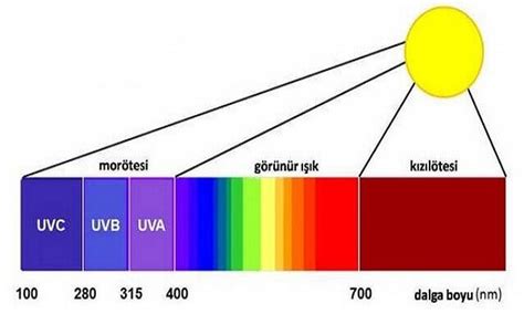 Ultraviyole ışık