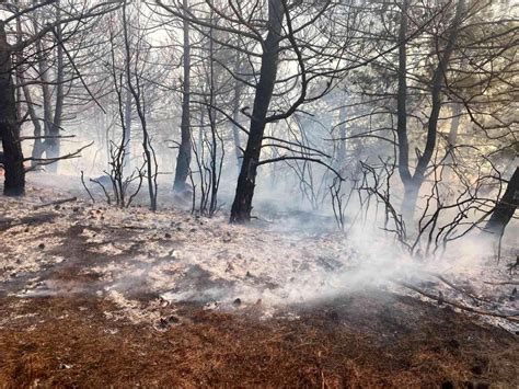 Uludağ'da çıkan orman yangını söndürüldü - Son Dakika Haberleri