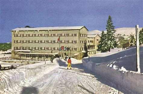 codini.rgarabwor.edu.pl. 