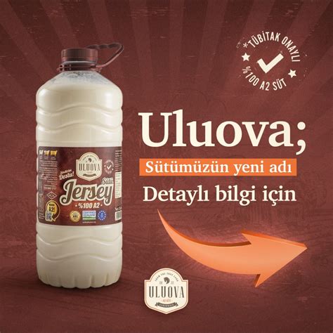 Uluova Halı ve Koltuk Yıkama