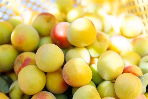 Ume&aring; to Vaasa (Station) - 4 ways to travel via ferry, and car