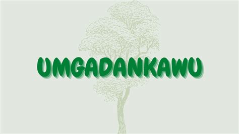Umgadankawu tree
