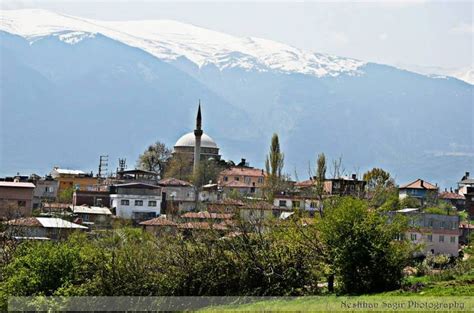 Umitalan Halı ve Koltuk Yıkama