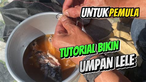 Umpan lele.  #Umpanikanlele #catfish #umpangalatama #fishing 1 day ago · Umpan andalan m...