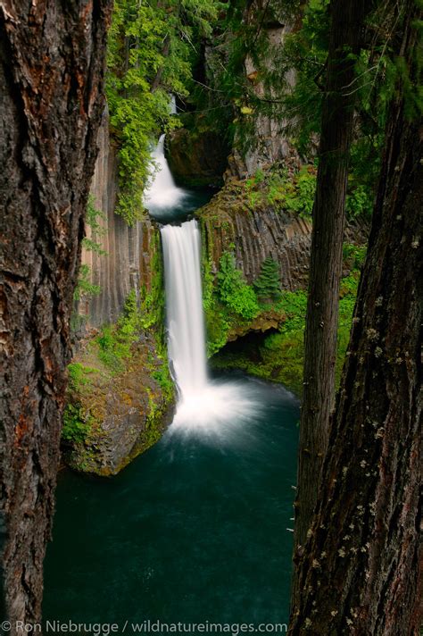 Umpqua national forest oregon. 7.6 km. 385 m. 2.5-3.5h. The Trestle Creek Falls Upper and Lower Trail is a fun hiking adventure in Umpqua National Forest that features several scenic waterfalls. While out on the trail, you will follow closely along Brice Creek, before passing by the scenic upper and lower waterfalls along Trestle Creek. 