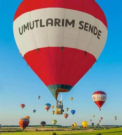 veodersti.rgarabwor.edu.pl. 