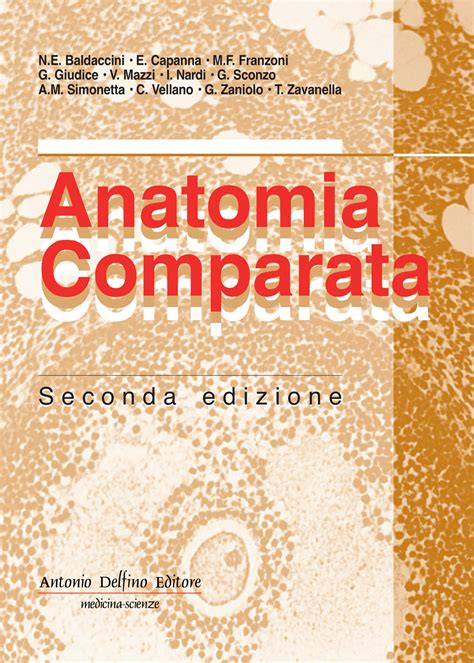 Un manuale di anatomia comparata per gli studenti di odontoiatria volume 2. - No one belongs here more than you miranda july.