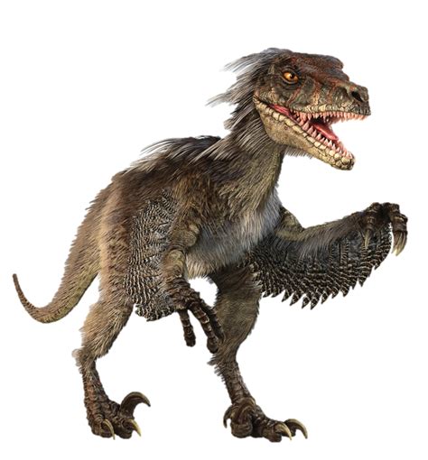Un raptor. El Deinonychus antirrhopus no es tan conocido como su primo asiático Velociraptor, al que interpretó en las películas de Jurassic Park y Jurassic World, pero tiene mucha más influencia entre los paleontólogos porque sus numerosos fósiles nos han permitido aprender mucho de él. sobre la apariencia y el comportamiento de los dinosaurios ... 