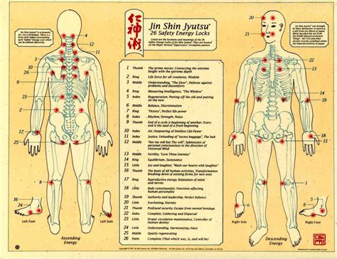 Una guía completa de acupresión jin shin do. - Suplemento manual de vuelo gma 340.