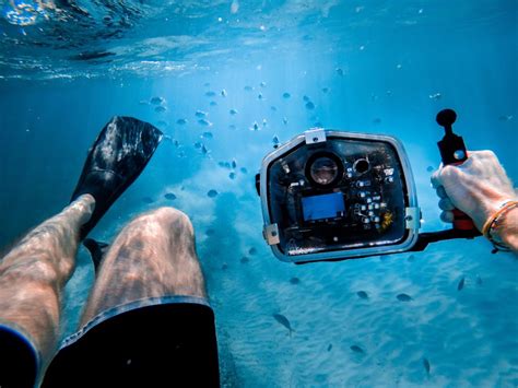 Una guía esencial para la fotografía digital subacuática y un completo cómo. - Psyop manuale di operazioni psicologiche militari.