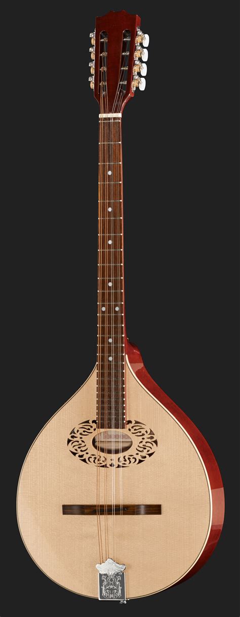 Una guida al bouzouki di mandolino d'ottava. - Canadian foundation engineering manual 4th edition 2015.