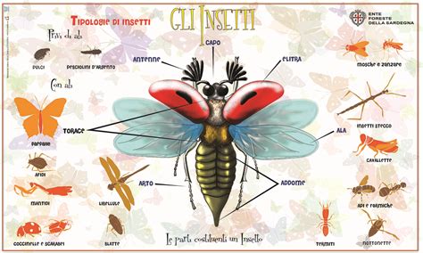 Una guida di campo a colori per gli insetti. - Kaplan living environment regents study guide.