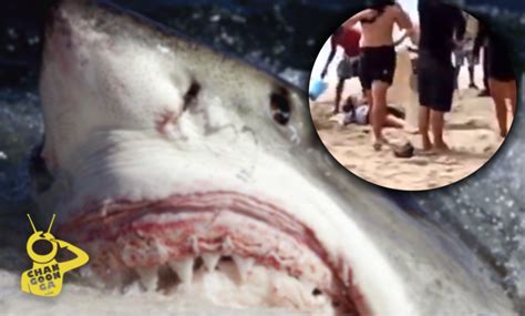 Una mujer muere tras un aparente ataque de tiburón en una playa de México