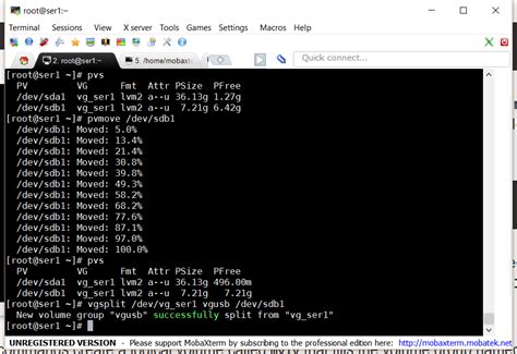 Unable to remove stale volume - Unix & Linux Stack Exchange