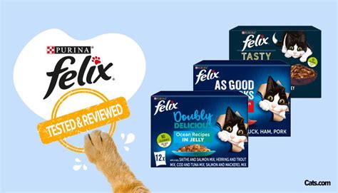 Unbiased Felix Cat Food Review In 2024 - Cats.com