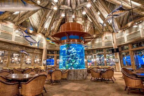 Uncle buck's fish bowl and grill photos. Things To Know About Uncle buck's fish bowl and grill photos. 