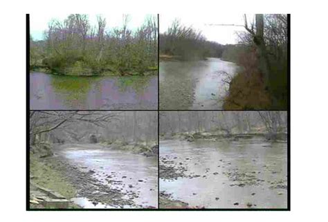 Brandy Run is at 34.3 this morning. But there is a live webcam showing Elk Creek at Uncle John’s Campground and stream reports for the Erie area streams are available from FishUSA at fisherie.com The second page shows a screenshot from Uncle John’s live webcam at 9:50am this morning. The FishUSA report shown there is a still …