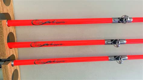 Whisker Whip XL High-Viz Orange. $86.99. Designed and Tested by Catfishermen for Catfishermen. The Whisker Whip Series is a medium action catfish rod designed to detect and respond to the lightest bite yet has the backbone to handle just about anything you can hook in to. Channel Cats, Blue Cats or Flatheads. It gives a new meaning to Feel The .... 