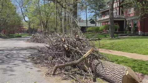 Uncollected tree debris frustrates Fox Park residents