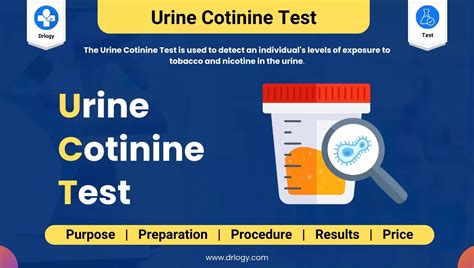 Uncover the Duration of Cotinine's Presence in Urine: A Comprehensive Guide