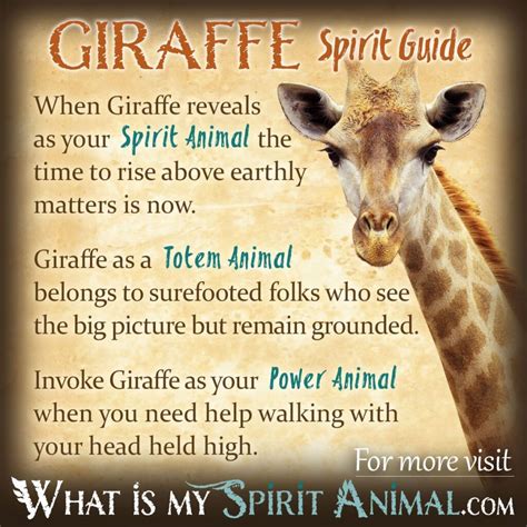 Uncover the Hidden Meaning Behind Giraffe Dreams: A Guide to Dream …