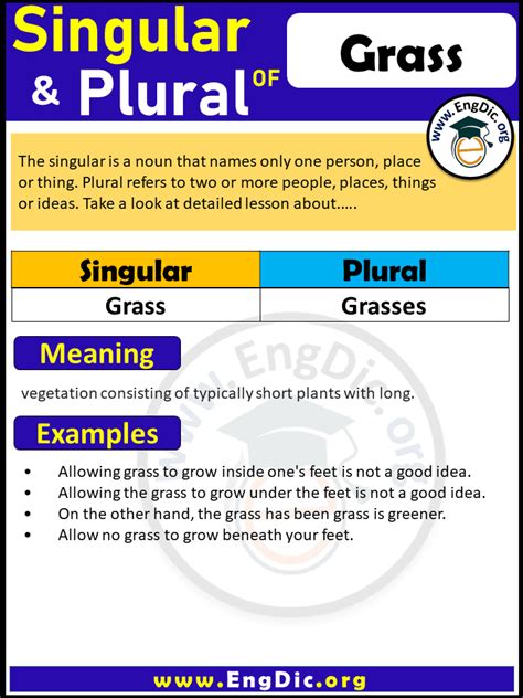 Uncover the Secrets of Plural of Grass: A Comprehensive Guide for Clarity and Precision