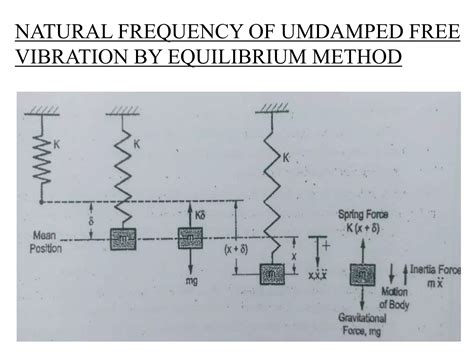 Undamped free vibration pdf.  any function for which there exists a fixed time T called t...