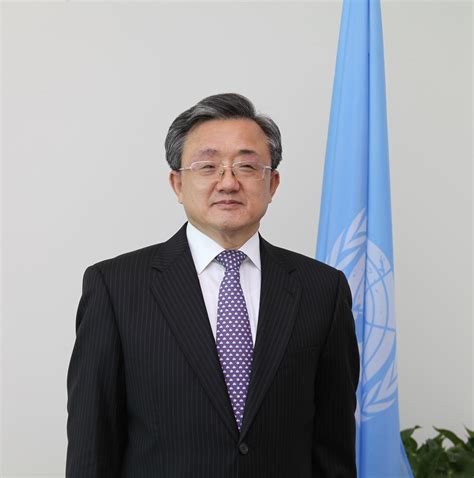 Under-Secretary-General Liu Zhenmin - United Nations