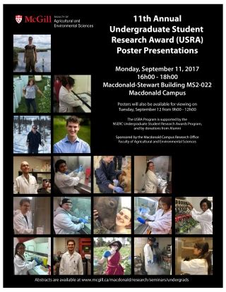 The McMaster Undergraduate Student Research Awards (USRAs)