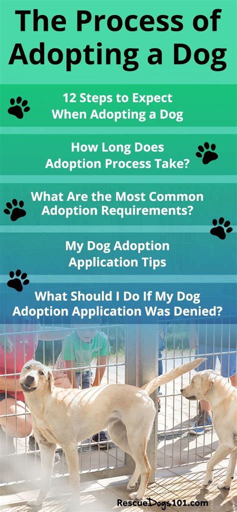 Understand a dog a guide on adopting a dog. - Microarray gene expression data analysis a beginner s guide.