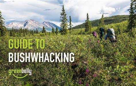 Understand the Essence of Bushwhacking: A Comprehensive Guide