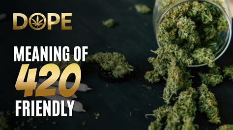 Understanding 420 Friendly Meaning
