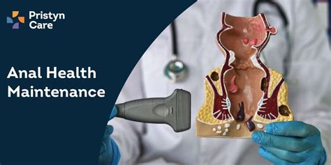 Understanding Anal Health