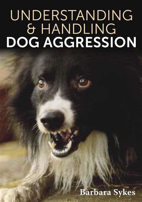 Understanding And Handling Dog Aggression
