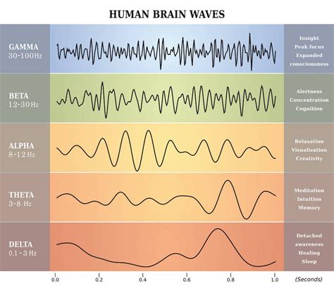 Understanding Brainwaves and ADHD - Brainwave Technologies