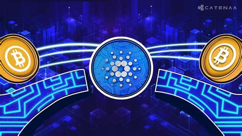 selected interoperability strategy