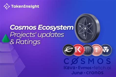 framework for ecosystem