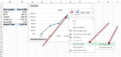 Understanding Excel Chart Data Series Data Points and Data Labels
