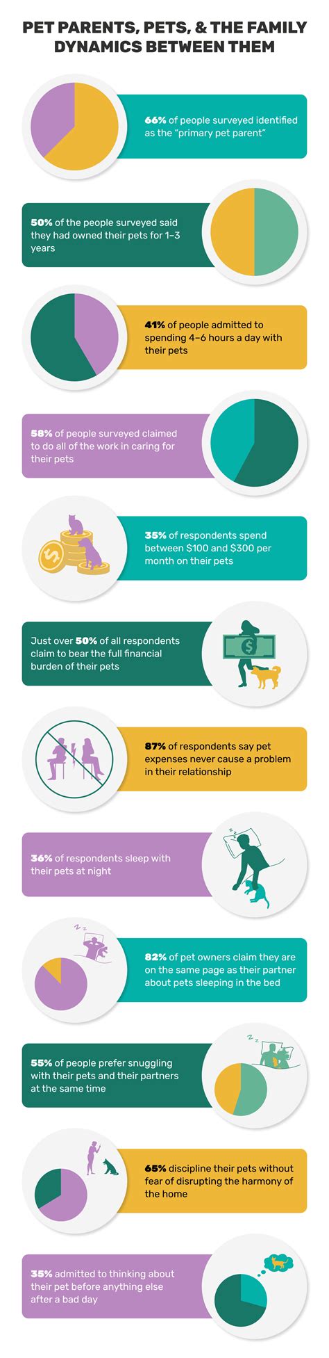 Understanding Holiday Pet Dynamics: Busy Times Explained.