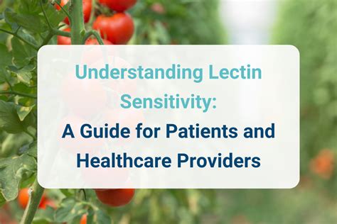 Understanding Lectin Sensitivity A Guide for Patients and Healthcare